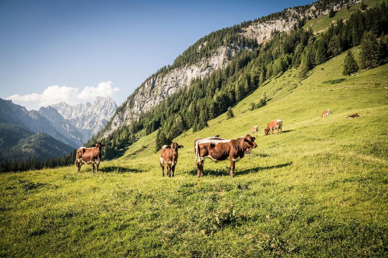 Ferienwohnung Waldblick - Freundlich Eingerichtete Ferienwohnung Berchtesgaden Esterno foto